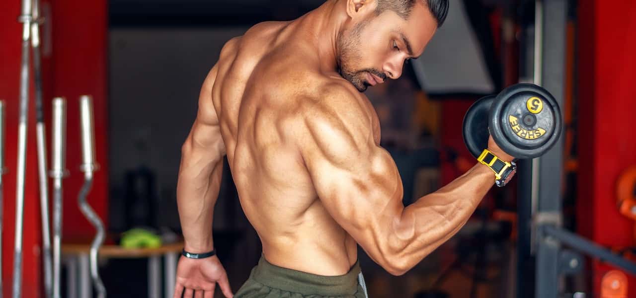 best exercises for bicep
