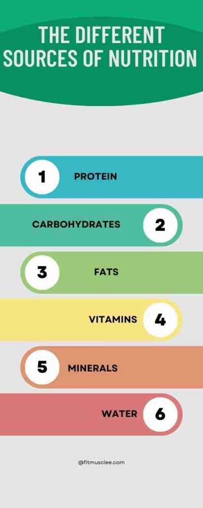 the importance of nutrition in bodybuild. Here's an Infographic Explain everything.