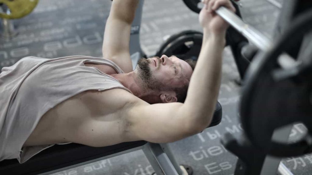 how to build the chest muscles