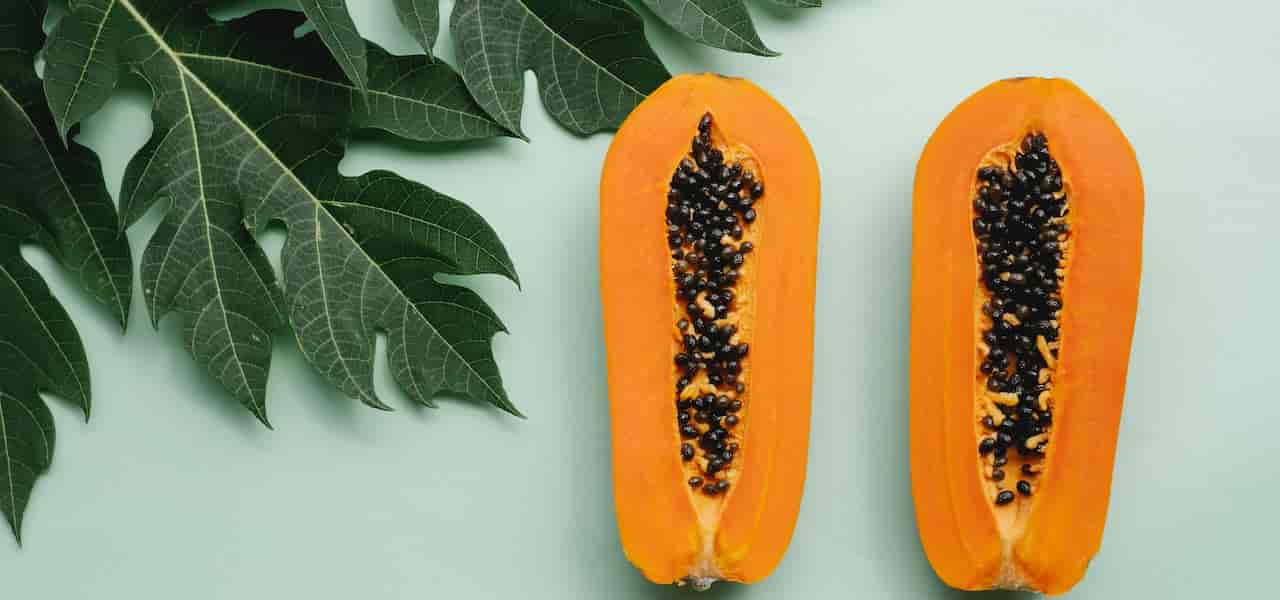 what are the benefit of papaya