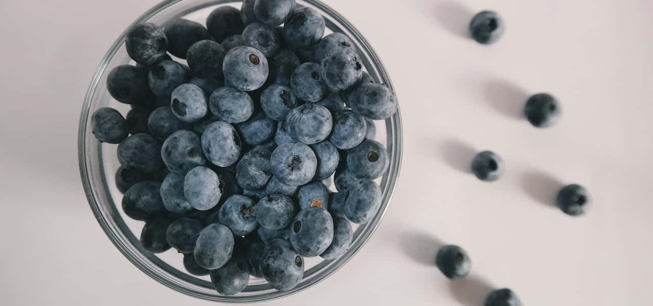 are blueberry good for diabetics