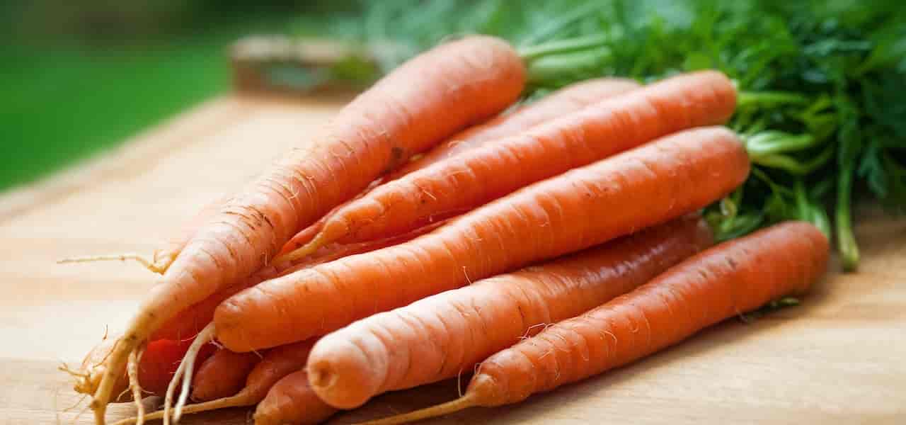 carrots good for weight loss