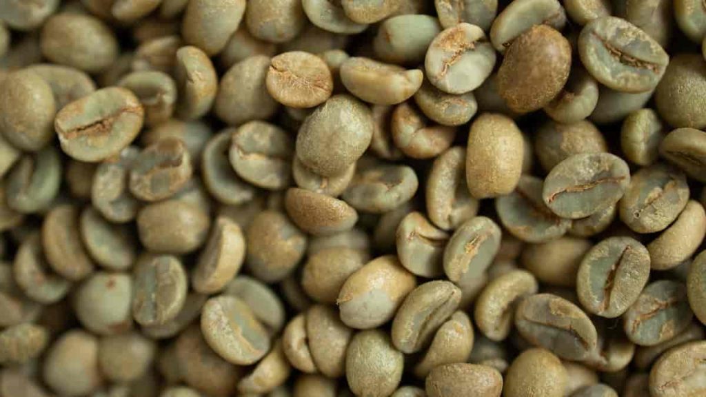 green coffee for weight loss how to use