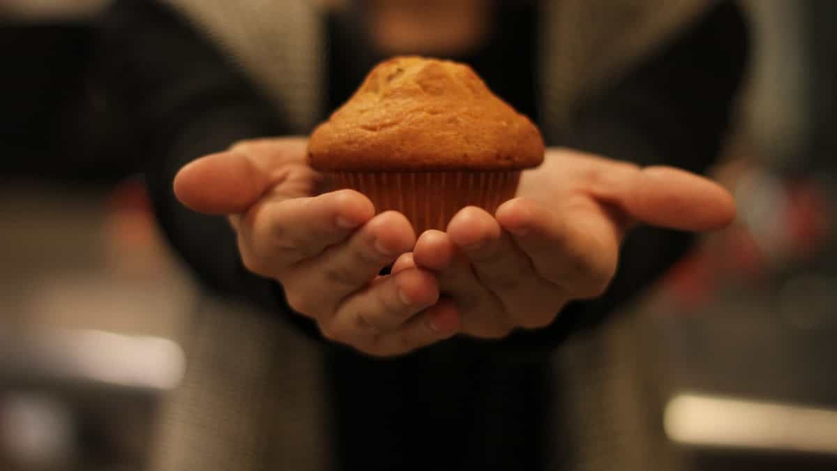 muffin break nutrition