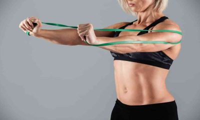 banded chest flyes