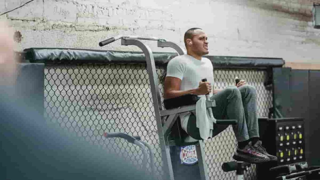 vertical knee raise machine