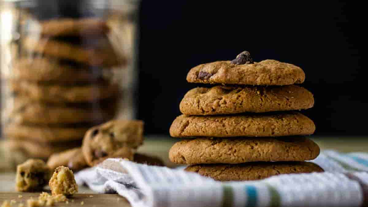 cookies and cream protein powder recipes