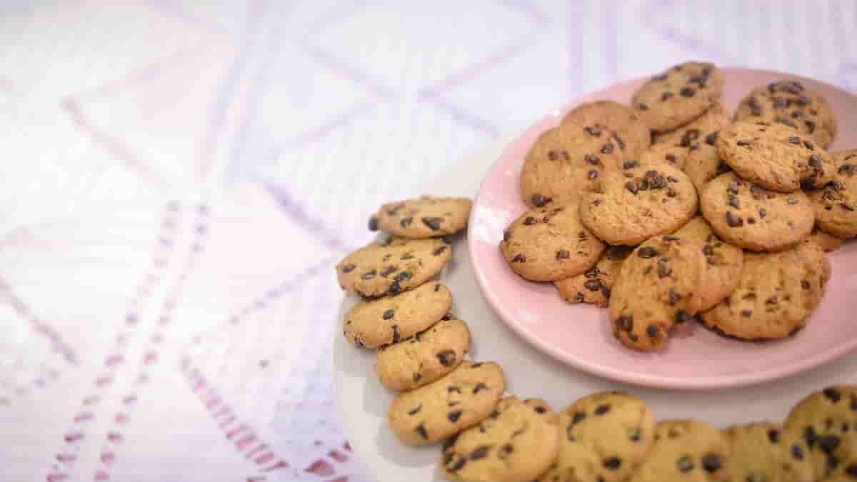 protein sugar cookie recipe