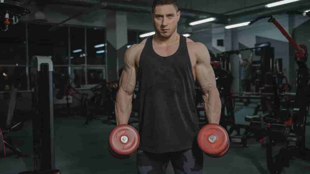 6 day a week dumbbell workout