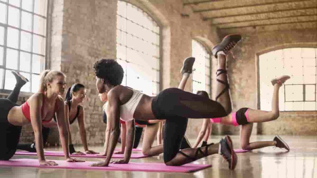 exercises in quadruped