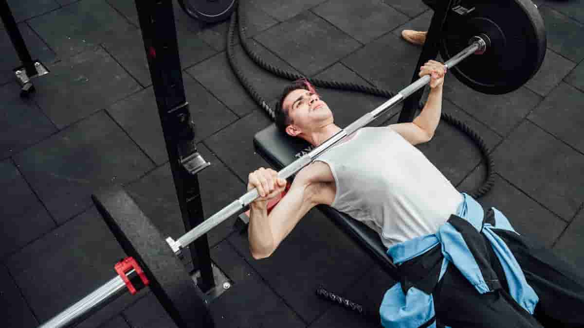 calories burn in bench press