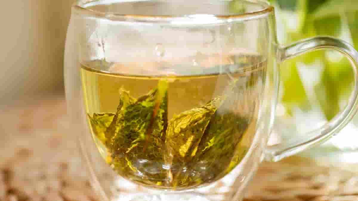 canned green tea