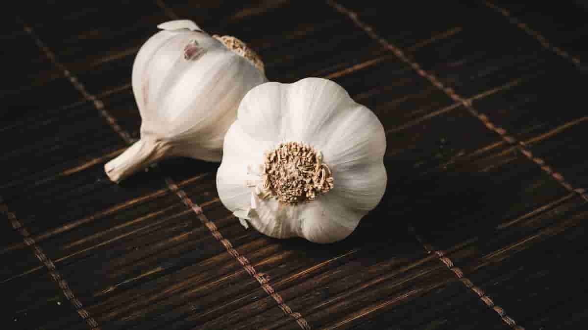 is garlic ketogenic