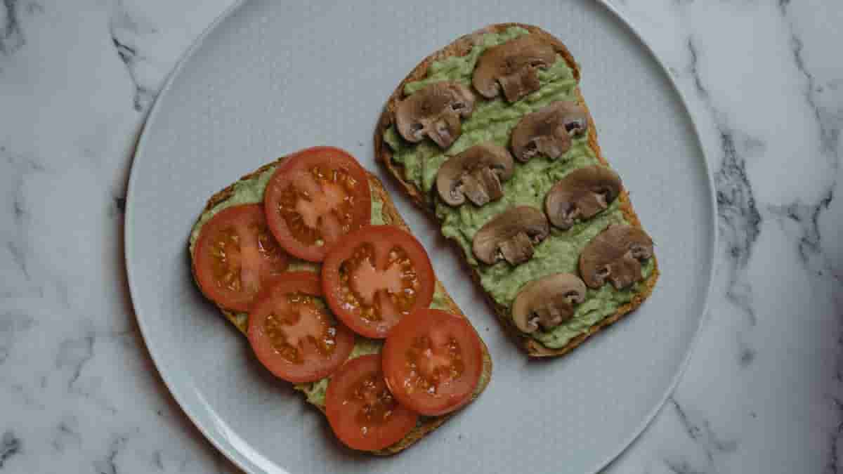 slow carb diet recipes