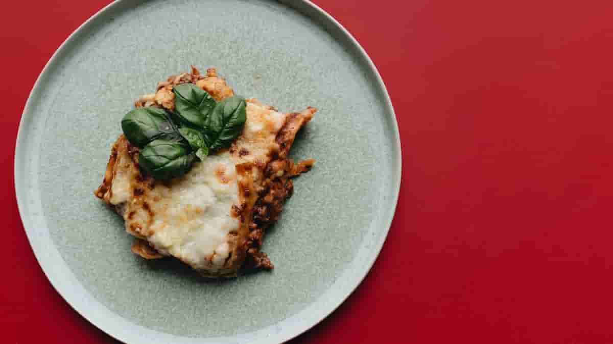 high protein lasagna