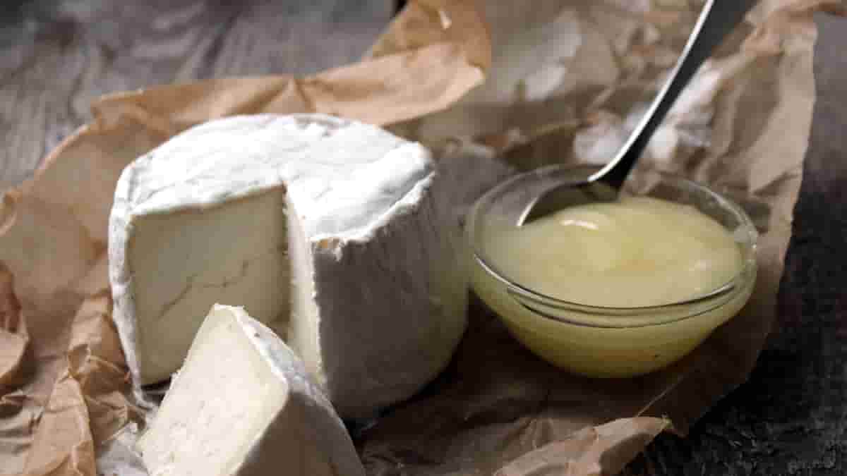 keto vegan cheese