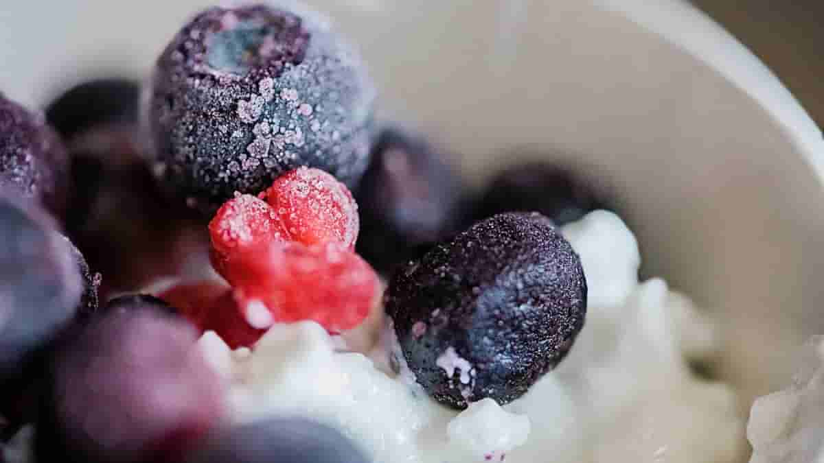 high protein frozen yogurt