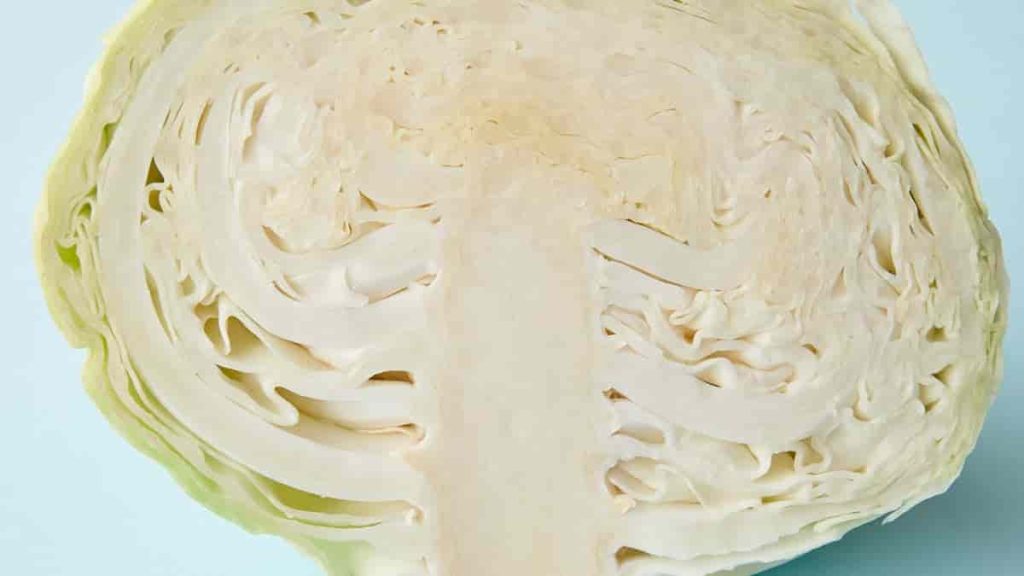 keto cabbage alfredo