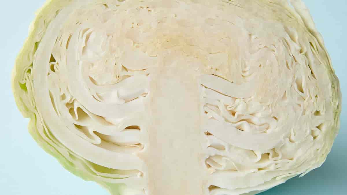 keto cabbage alfredo