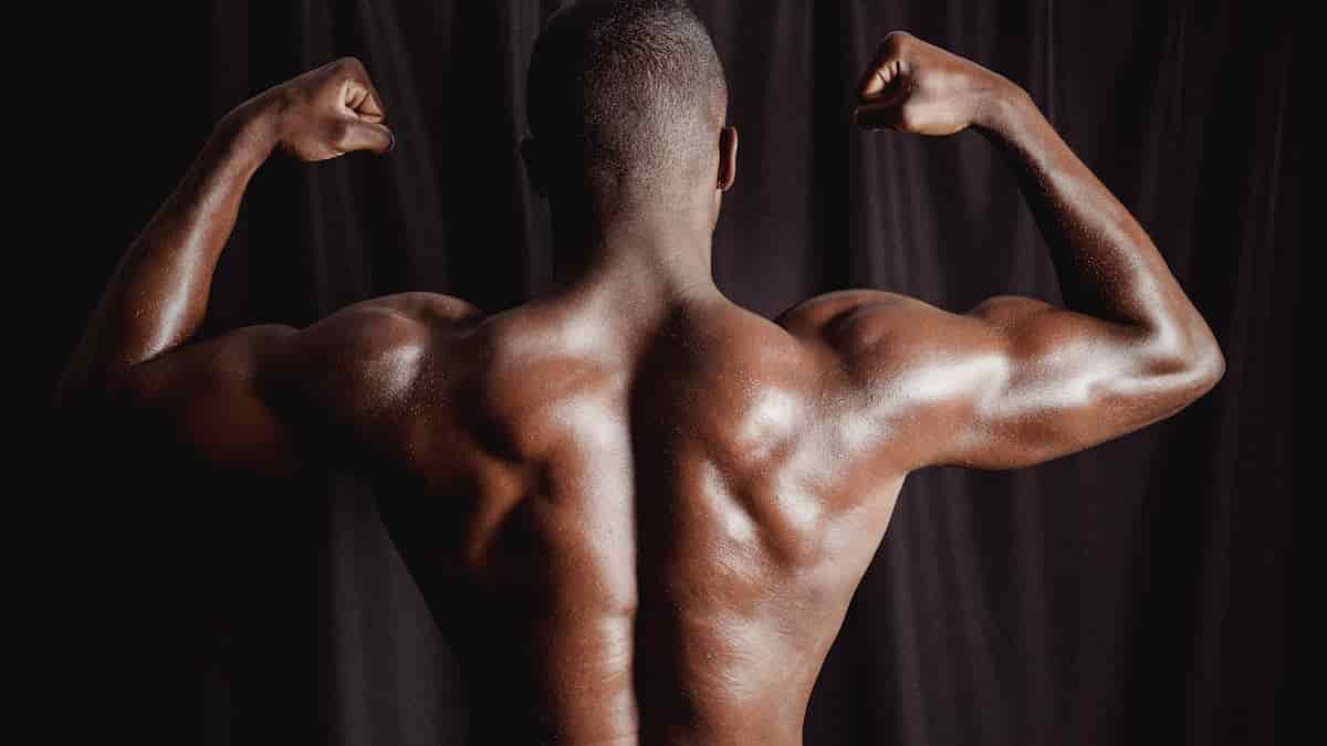 build back and biceps body beast