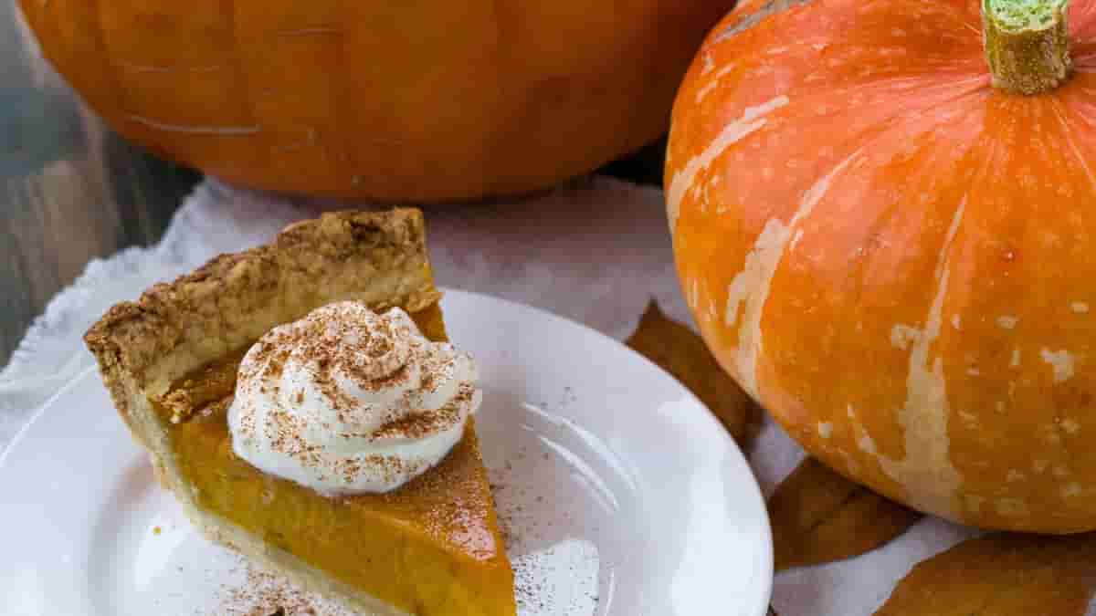 high protein pumpkin cheesecake