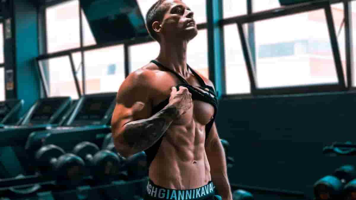 8 week shred program