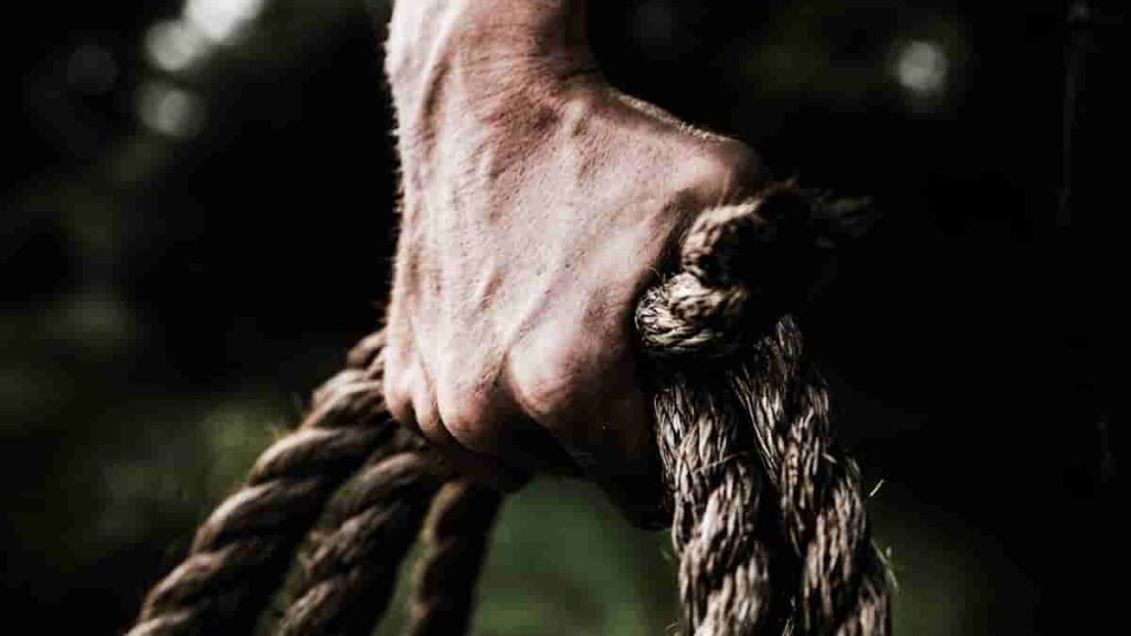 does forearm grip work