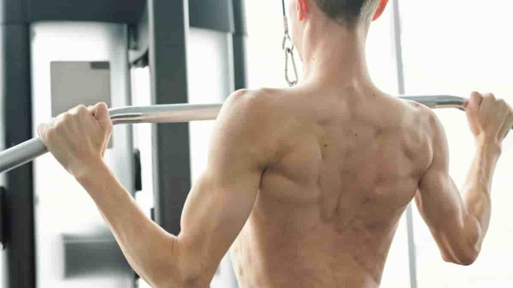 pull ups vs lat pulldowns