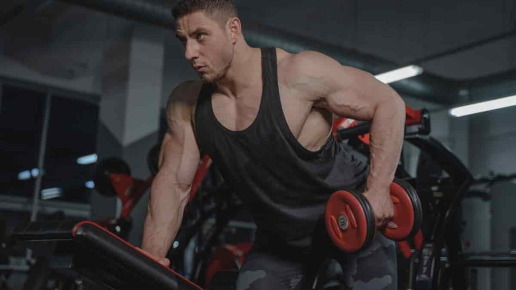 barbell row vs dumbbell row