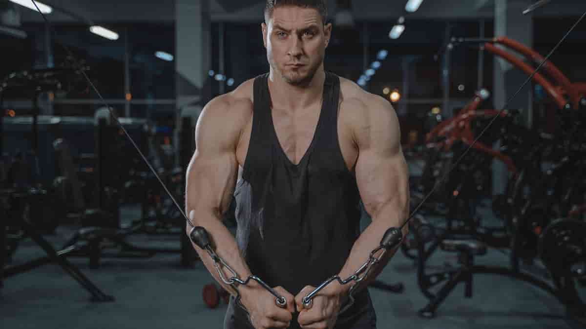 exercise cables and pulleys