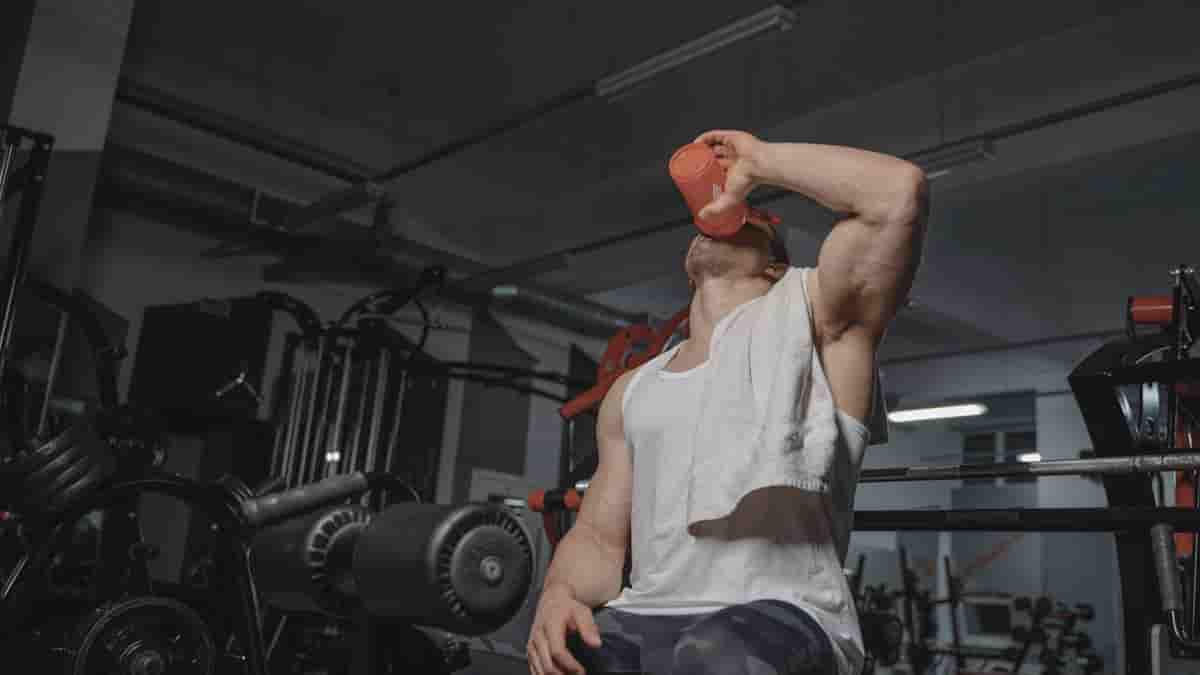 glutamine vs creatine