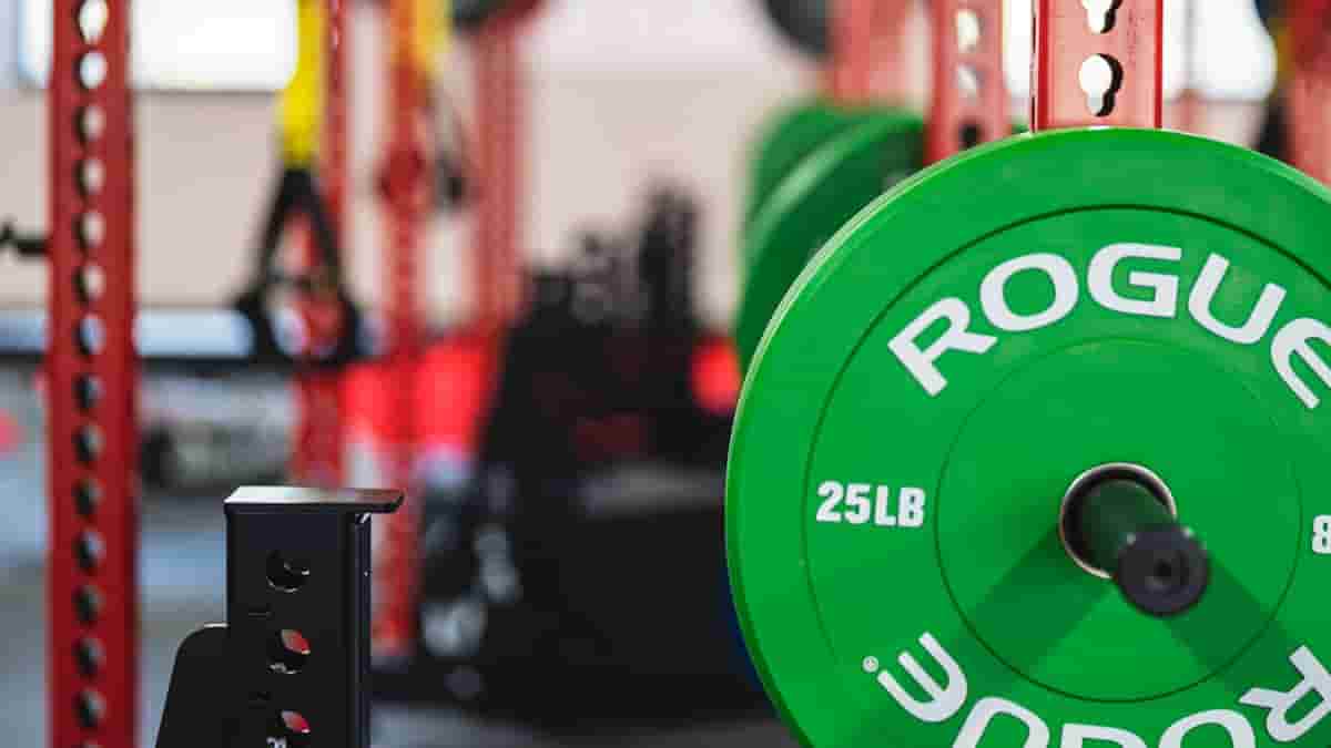 squat smith machine vs power rack