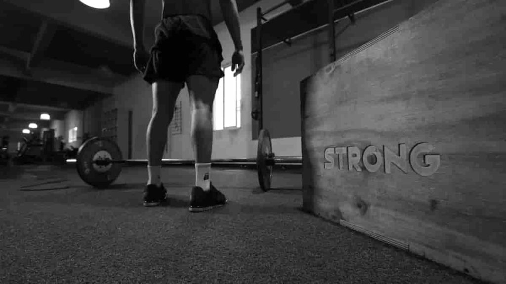 back workout with barbell