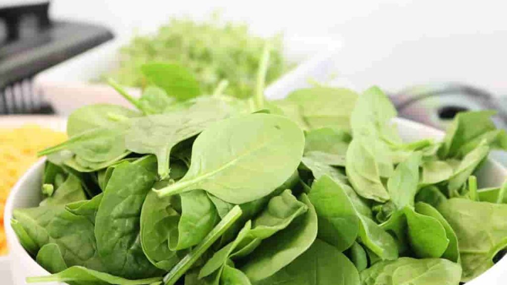 keto spinach wrap recipe