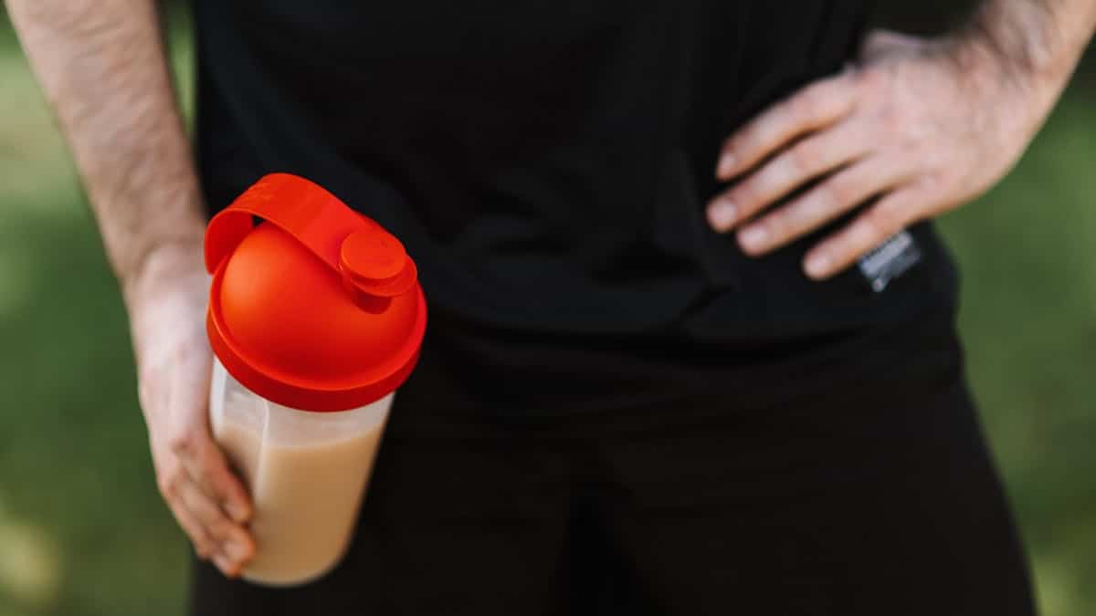 carnivore diet protein shake