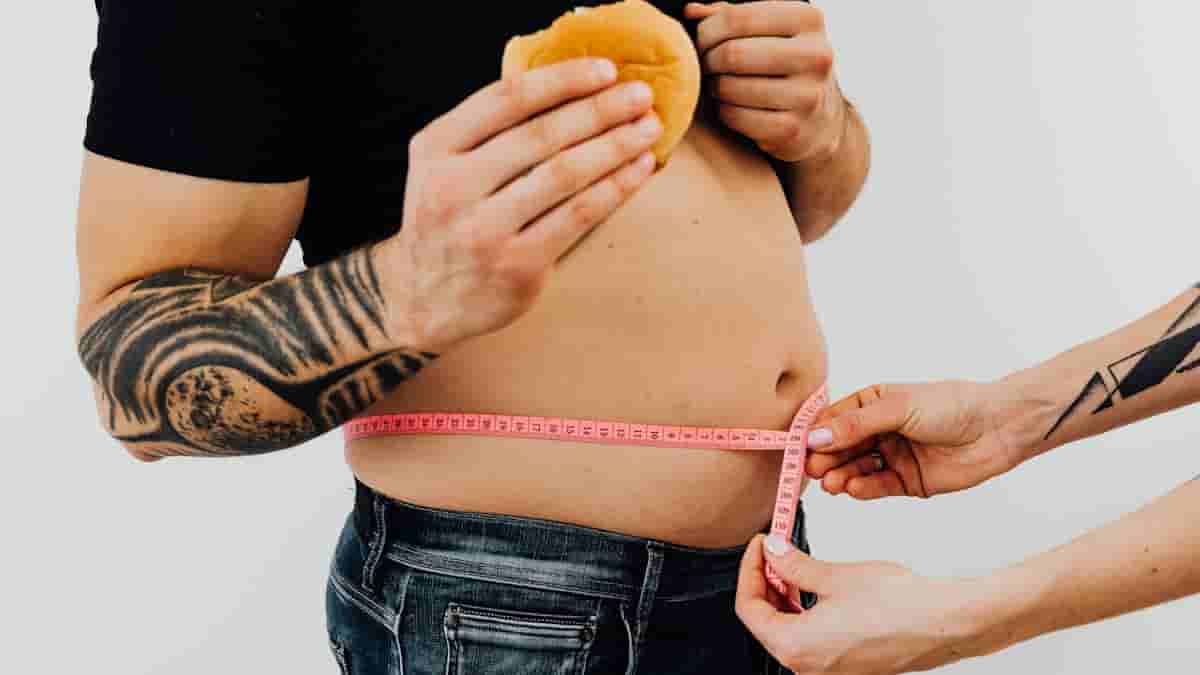 transformation diet program