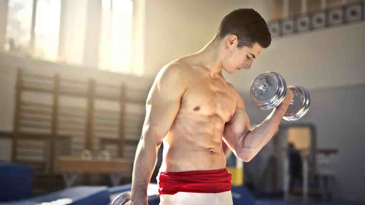 arms superset routine