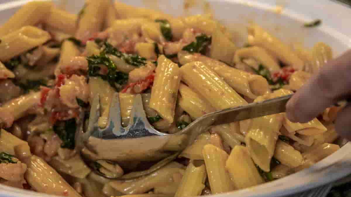 low carb high protein pasta