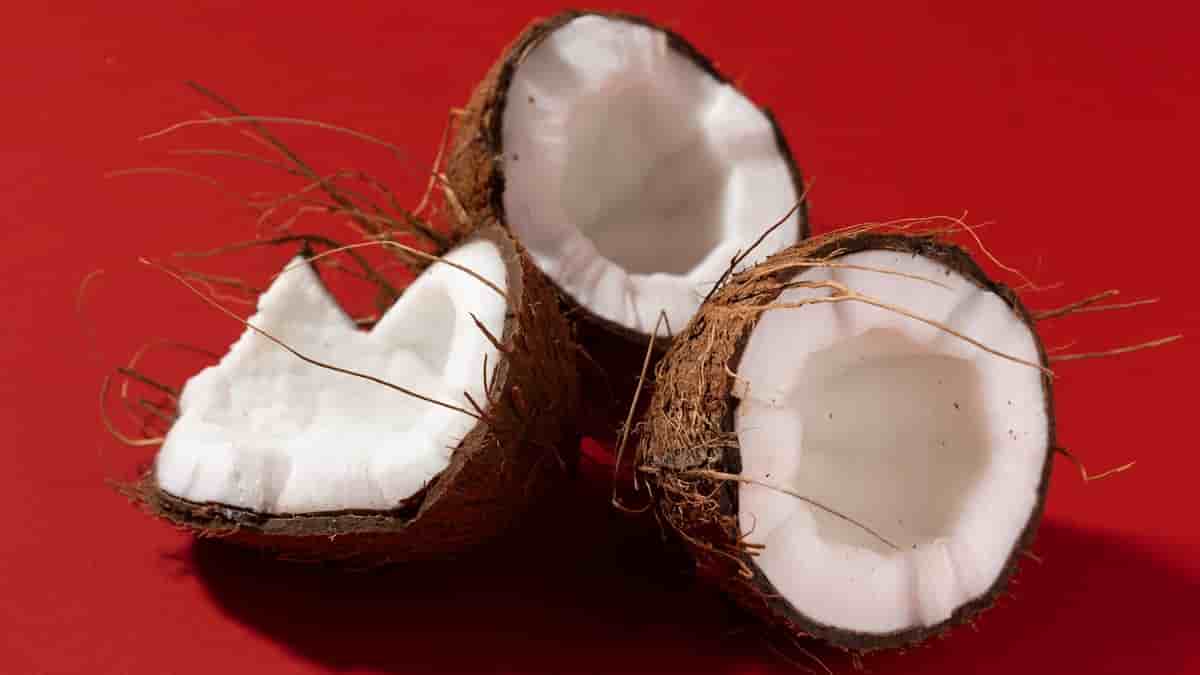 coconut flour vs coconut powder