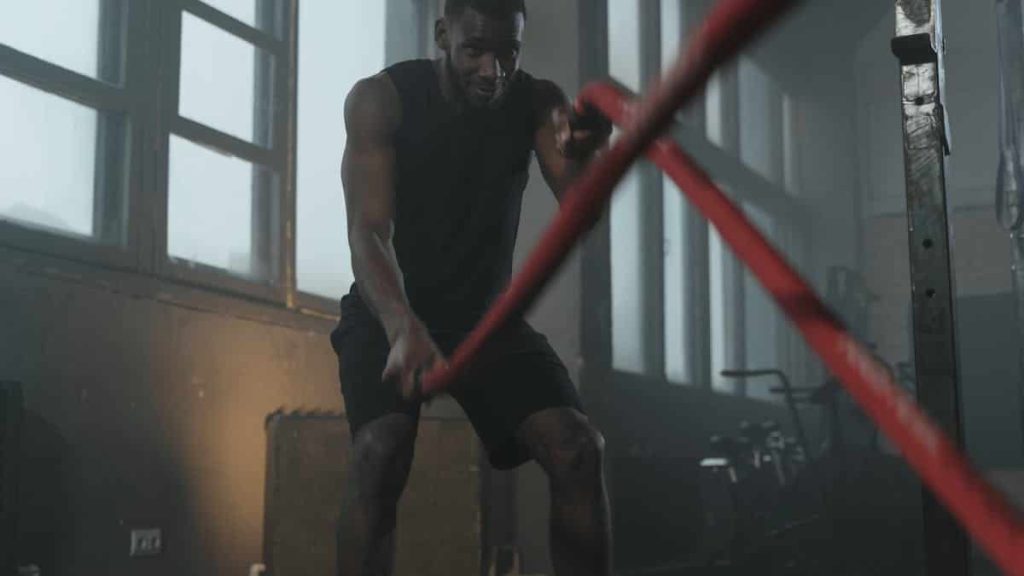 hiit and circuit training