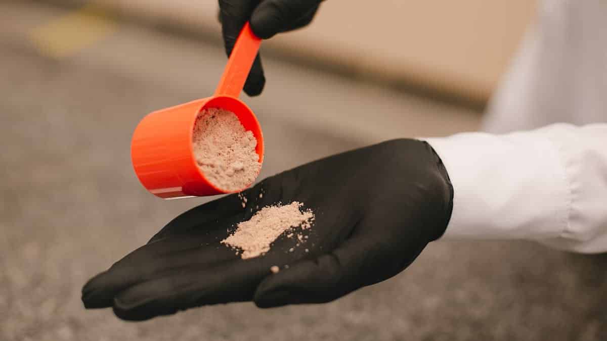 protein powder without sweetener