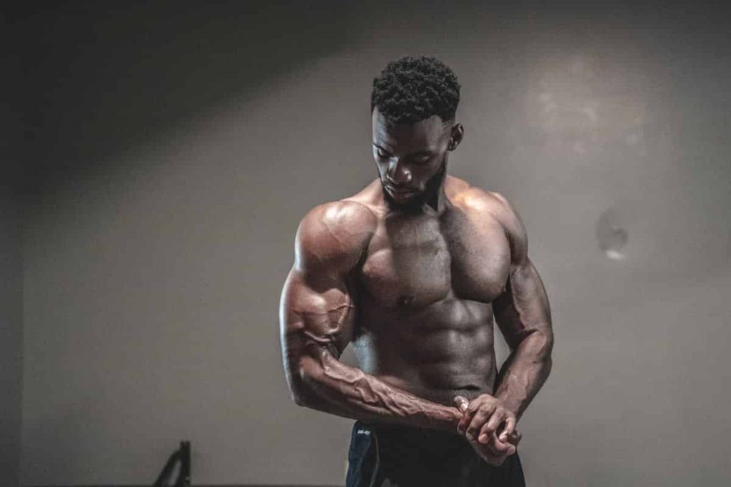 cutting workout plan