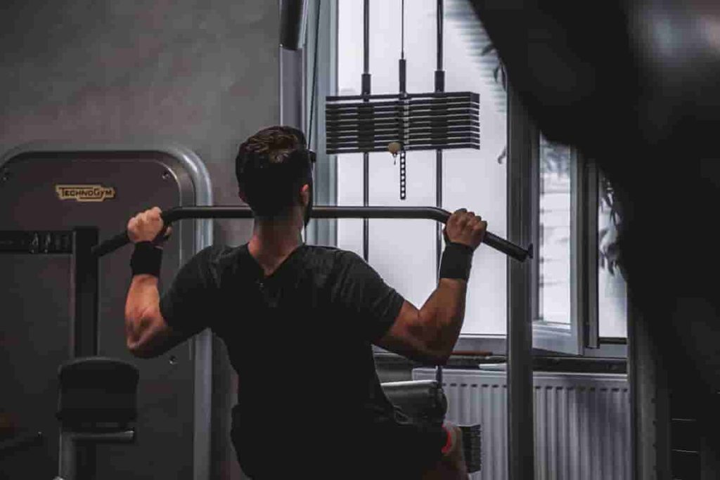 back workout machines