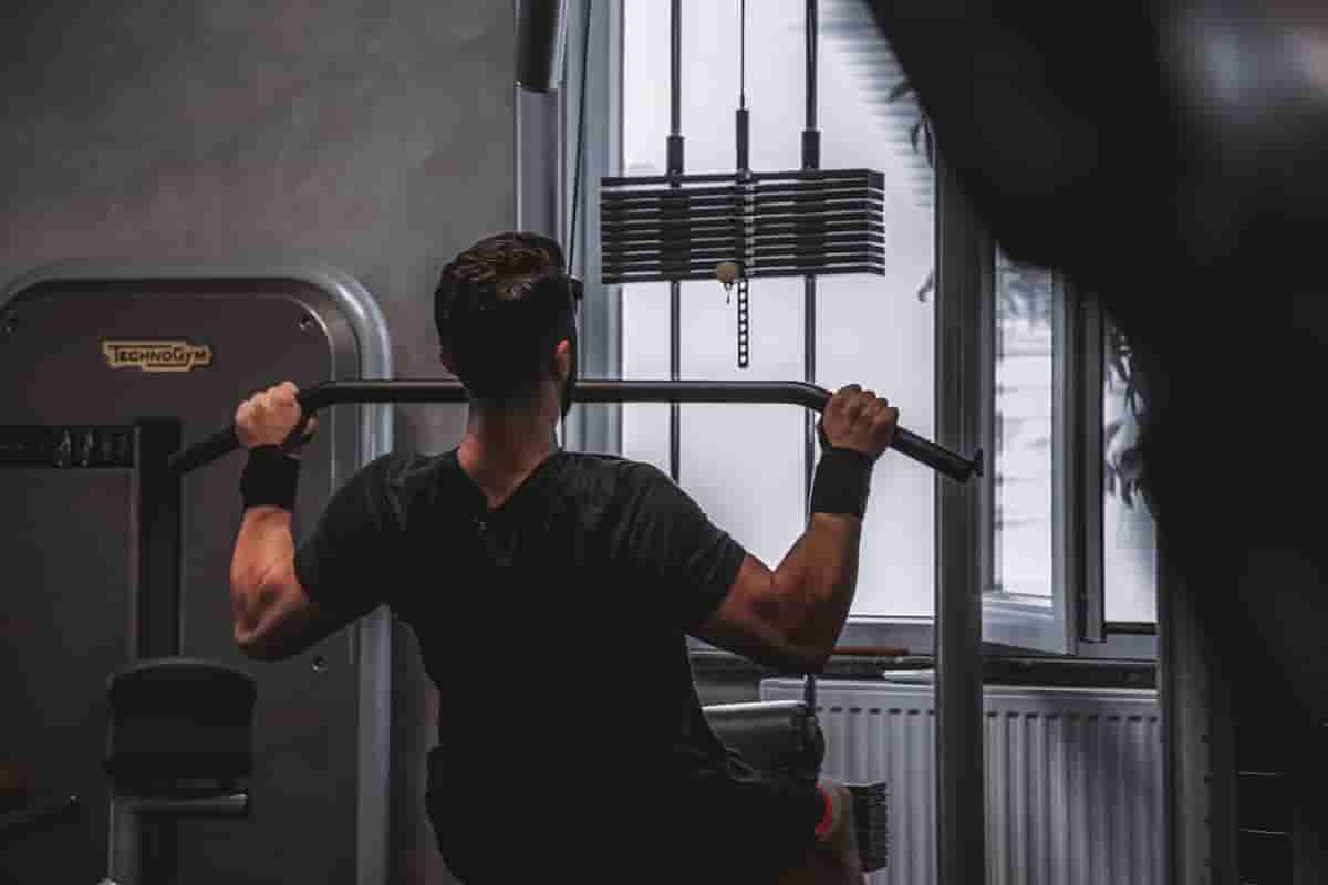 back workout machines