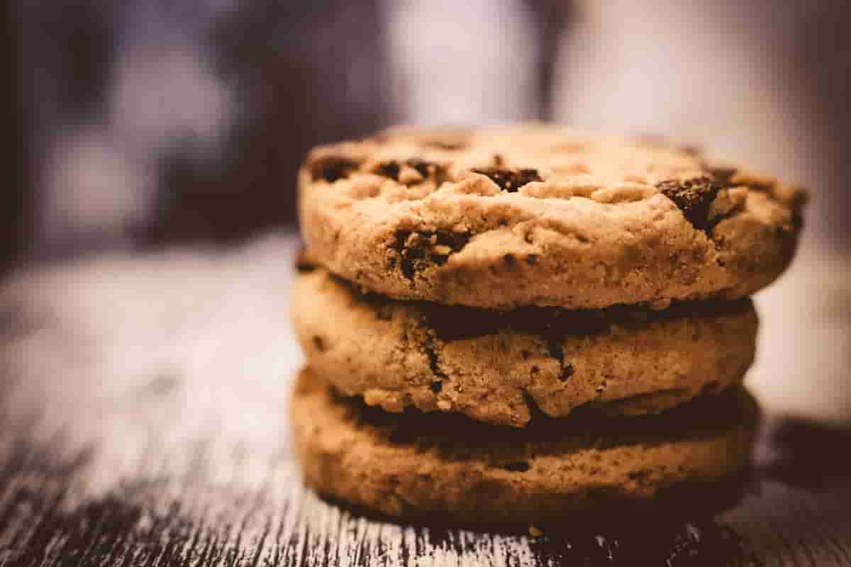 pumpkin protein cookies