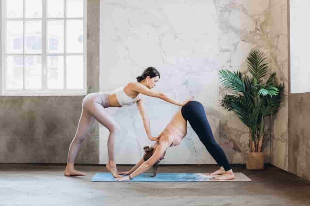 dolphin yoga position