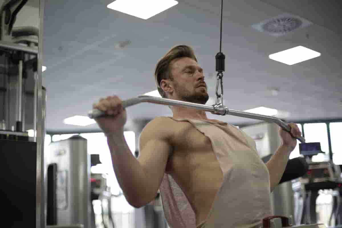 pull up workout