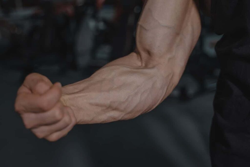 forearm workout equipment